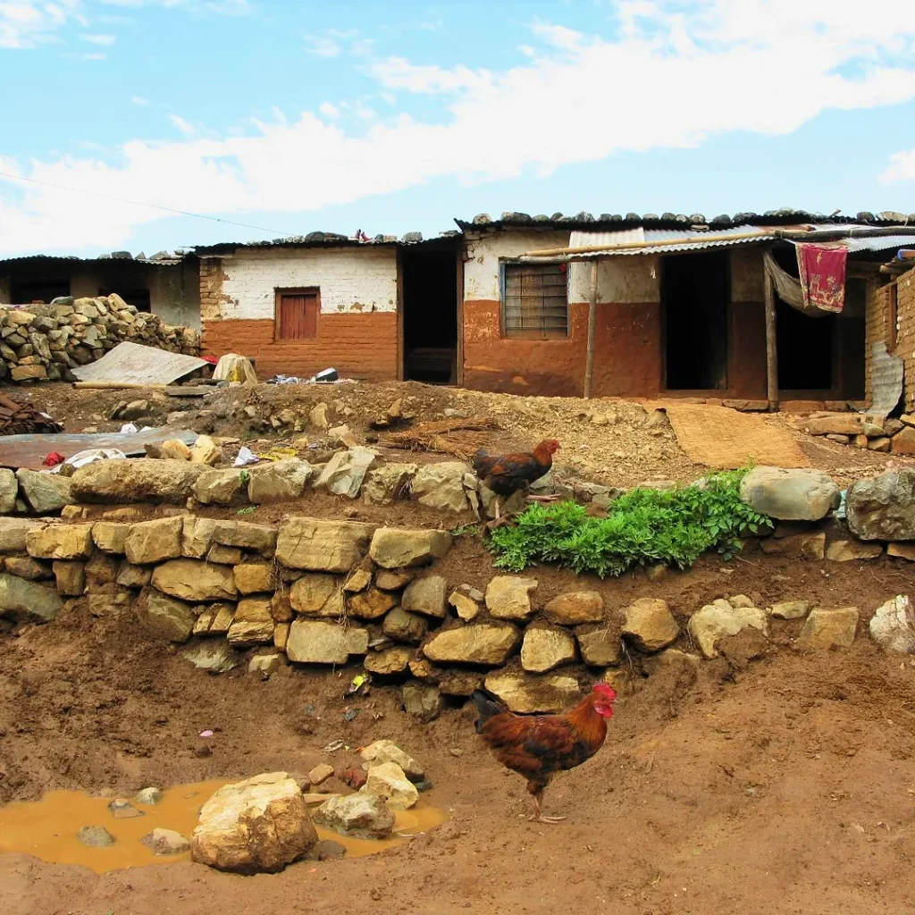 village yard